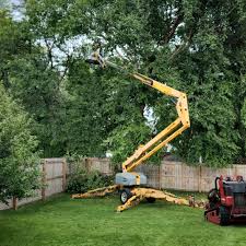 Best Tree Trimming and Pruning  in Throop, PA